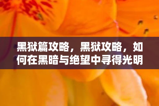 黑狱篇攻略，黑狱攻略，如何在黑暗与绝望中寻得光明