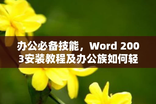 Word 2003安装教程及办公族如何轻松掌握Word使用技巧图片