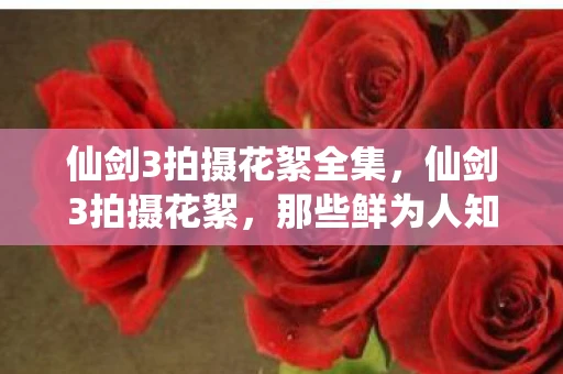 仙剑3拍摄花絮全集,仙剑3拍摄花絮,那些鲜为人知的故事 仙剑3拍摄花絮全集,仙剑3拍摄花絮,那些鲜为人知的故事