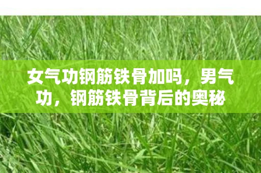 女气功钢筋铁骨加吗，男气功，钢筋铁骨背后的奥秘