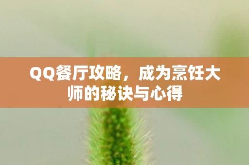 成为烹饪大师的秘诀与心得图片