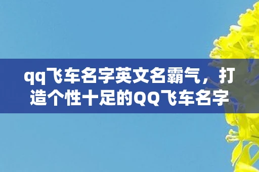 qq飞车名字英文名霸气，打造个性十足的QQ飞车名字，英文篇