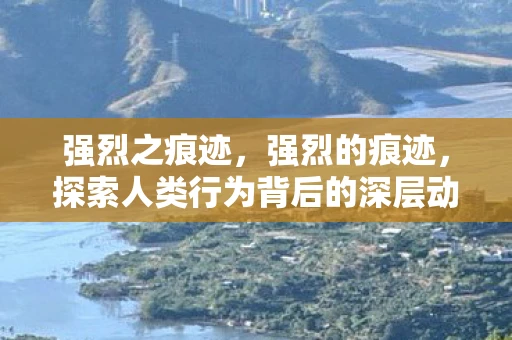 强烈之痕迹，强烈的痕迹，探索人类行为背后的深层动机