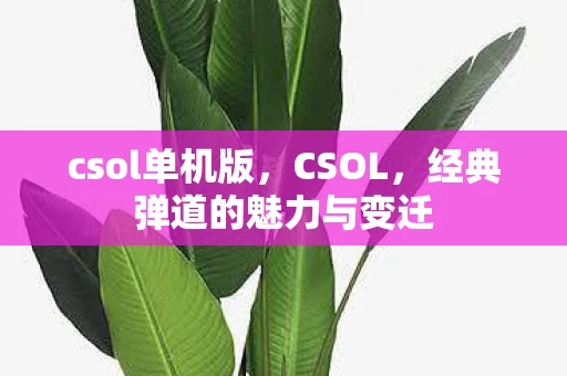 csol单机版，CSOL，经典弹道的魅力与变迁