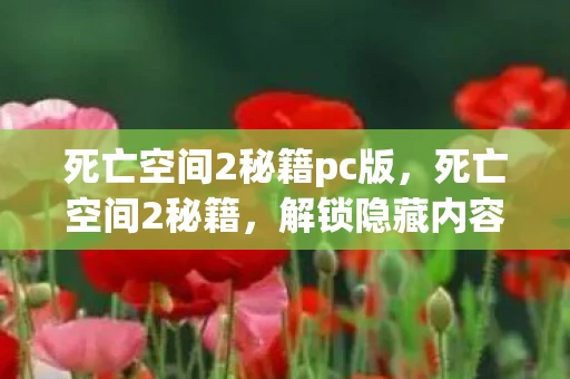 死亡空间2秘籍pc版，死亡空间2秘籍，解锁隐藏内容，提升游戏体验