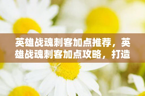 英雄战魂刺客加点推荐，英雄战魂刺客加点攻略，打造无敌刺客的秘诀