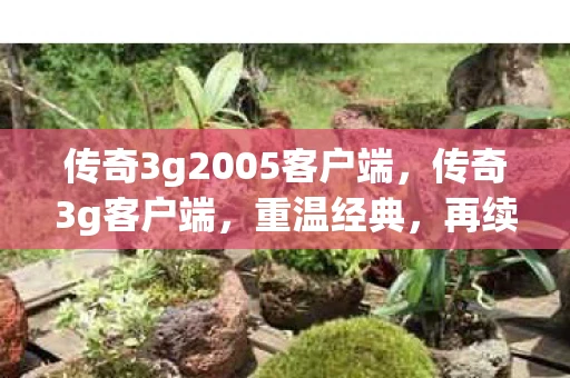 传奇3g2005客户端，传奇3g客户端，重温经典，再续传奇