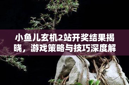 小鱼儿玄机2站开奖结果揭晓图片