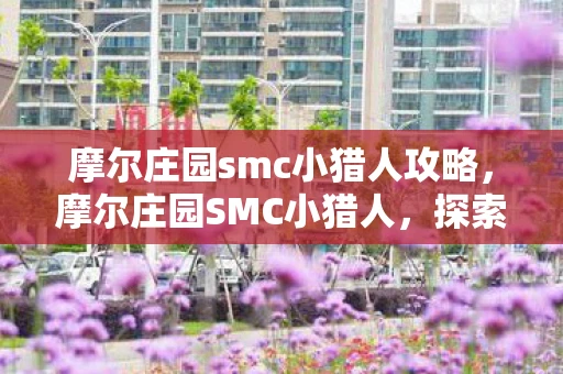 摩尔庄园smc小猎人攻略，摩尔庄园SMC小猎人，探索与冒险的奇妙之旅