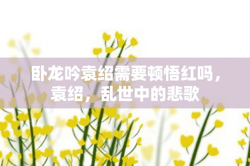 卧龙吟袁绍需要顿悟红吗，袁绍，乱世中的悲歌