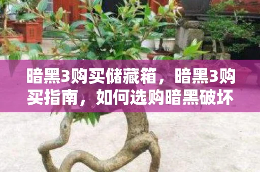 暗黑3购买储藏箱，暗黑3购买指南，如何选购暗黑破坏神3