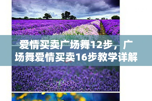 爱情买卖广场舞12步，广场舞爱情买卖16步教学详解
