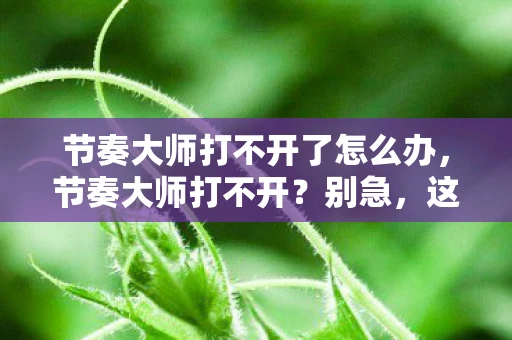 节奏大师打不开了怎么办,节奏大师打不开?别急,这里有解决办法! 节奏大师打不开了怎么办,节奏大师打不开?别急,这里有解决办法!