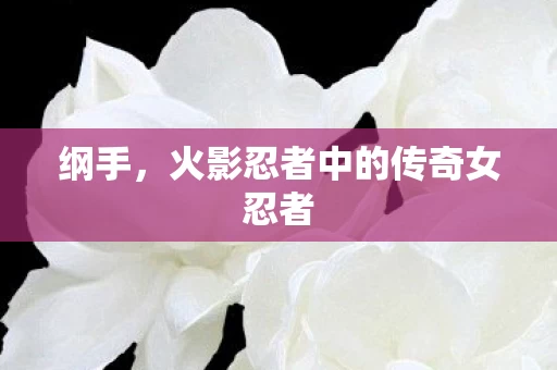 火影忍者中的传奇女忍者图片