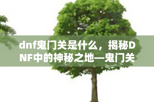 dnf鬼门关是什么，揭秘DNF中的神秘之地—鬼门关