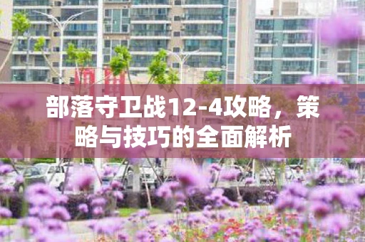 部落守卫战12-4攻略，策略与技巧的全面解析