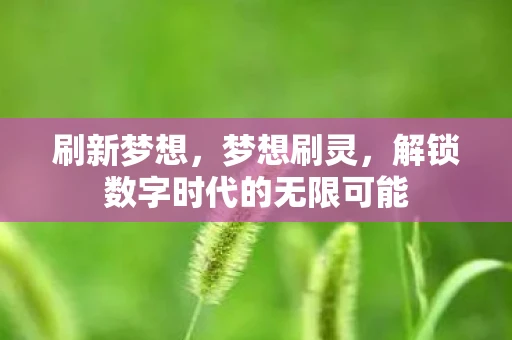 刷新梦想，梦想刷灵，解锁数字时代的无限可能