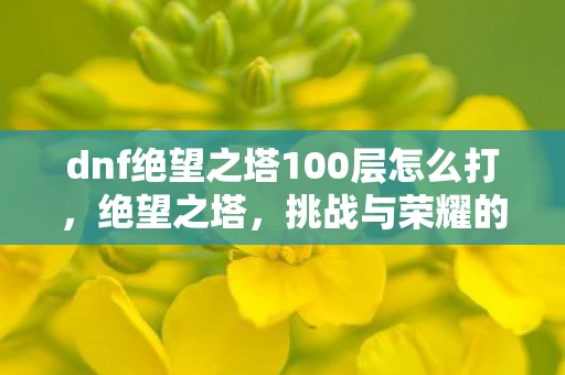 dnf绝望之塔100层怎么打，绝望之塔，挑战与荣耀的100层之旅