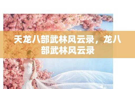 天龙八部武林风云录,龙八部武林风云录 天龙八部武林风云录,龙八部武林风云录