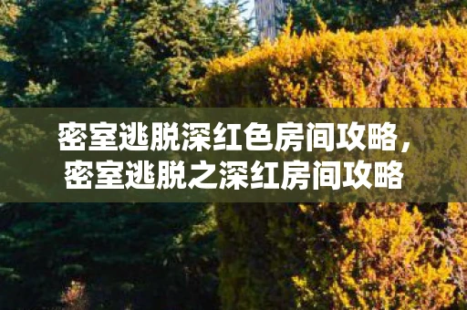 密室逃脱深红色房间攻略，密室逃脱之深红房间攻略