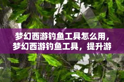 梦幻西游钓鱼工具怎么用，梦幻西游钓鱼工具，提升游戏乐趣的神奇助手