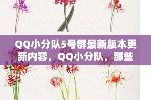 QQ小分队5号群最新版本更新内容，QQ小分队，那些年我们一起开黑的日子