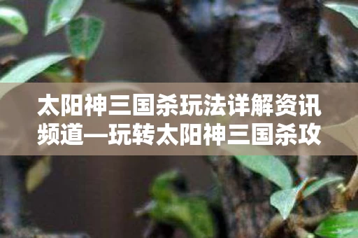太阳神三国杀玩法详解资讯频道图片