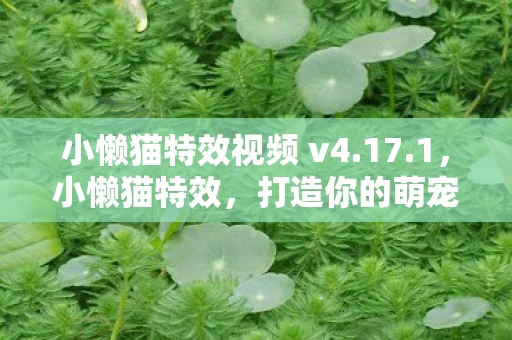 小懒猫特效视频 v4.17.1,小懒猫特效,打造你的萌宠生活 小懒猫特效视频 v4.17.1,小懒猫特效,打造你的萌宠生活