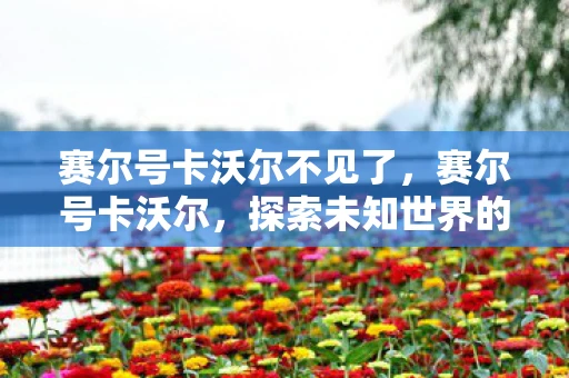 赛尔号卡沃尔不见了，赛尔号卡沃尔，探索未知世界的神秘之旅