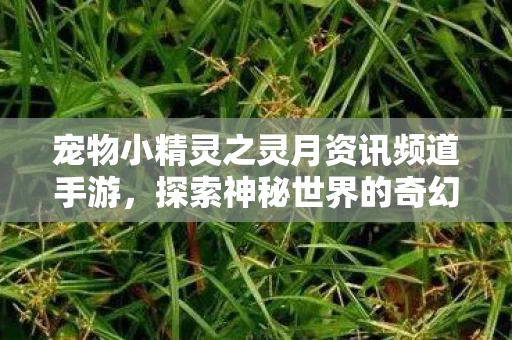 宠物小精灵之灵月资讯频道手游图片