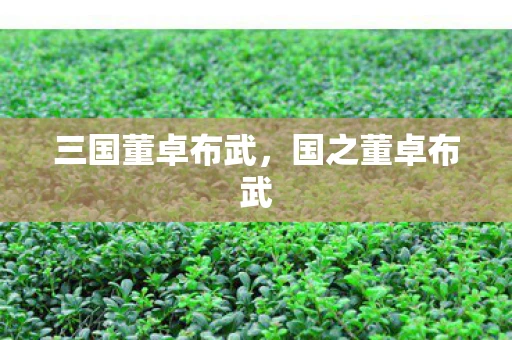 三国董卓布武,国之董卓布武 三国董卓布武,国之董卓布武