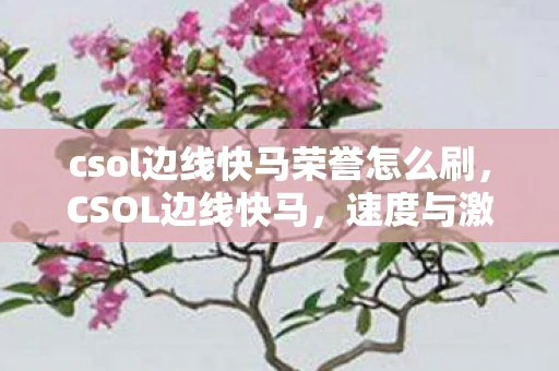 csol边线快马荣誉怎么刷，CSOL边线快马，速度与激情的极限挑战