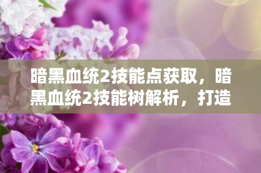 暗黑血统2技能点获取，暗黑血统2技能树解析，打造你的终极战斗风格
