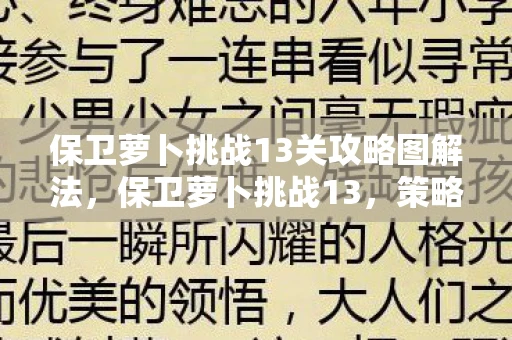 保卫萝卜挑战13关攻略图解法,保卫萝卜挑战13,策略与技巧的全面解析 保卫萝卜挑战13关攻略图解法,保卫萝卜挑战13,策略与技巧的全面解析