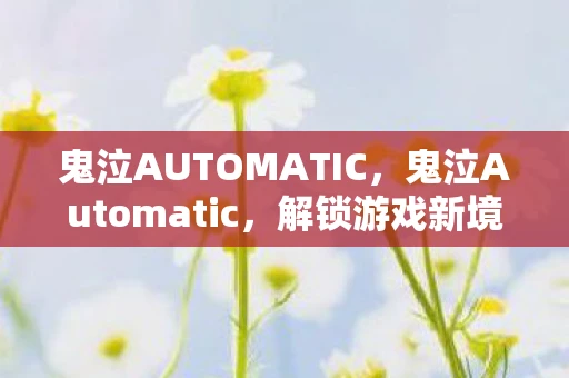 鬼泣AUTOMATIC，鬼泣Automatic，解锁游戏新境界的必备工具
