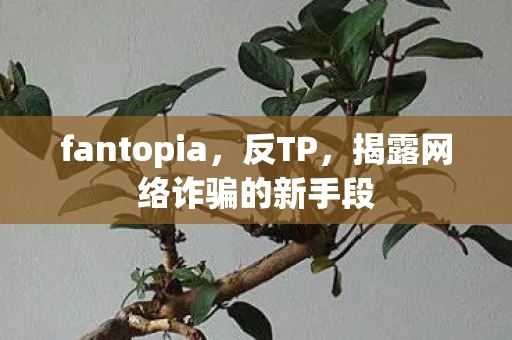 fantopia，反TP，揭露网络诈骗的新手段