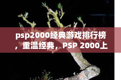 psp2000经典游戏排行榜，重温经典，PSP 2000上的不朽游戏