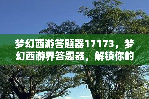 梦幻西游答题器17173，梦幻西游界答题器，解锁你的智慧与冒险之旅