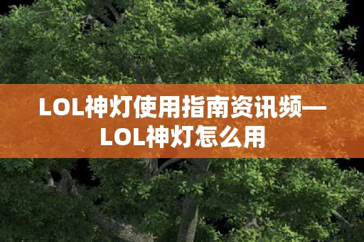 LOL神灯使用指南资讯频图片