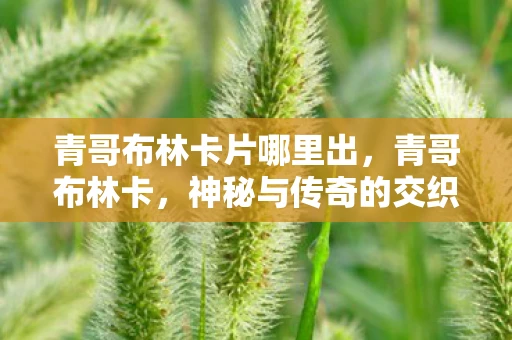 青哥布林卡片哪里出，青哥布林卡，神秘与传奇的交织
