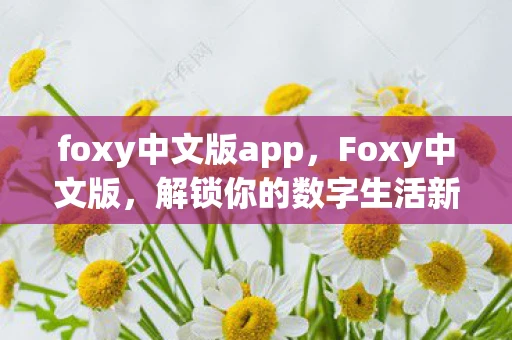 foxy中文版app，Foxy中文版，解锁你的数字生活新体验
