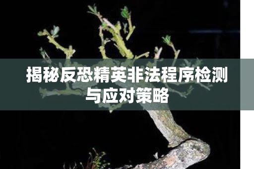 揭秘反恐精英非法程序检测与应对策略图片