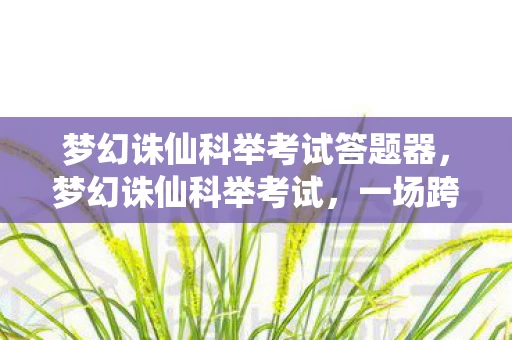 梦幻诛仙科举考试答题器，梦幻诛仙科举考试，一场跨越时空的知识盛宴