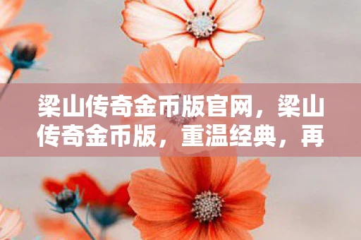 梁山传奇金币版官网,梁山传奇金币版,重温经典,再续传奇 梁山传奇金币版官网,梁山传奇金币版,重温经典,再续传奇