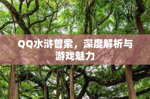 深度解析与游戏魅力图片