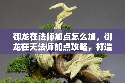 御龙在法师加点怎么加，御龙在天法师加点攻略，打造最强法师，征服游戏世界