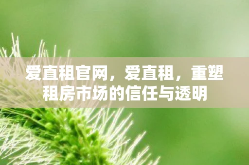 爱直租官网，爱直租，重塑租房市场的信任与透明