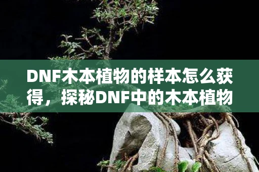DNF木本植物的样本怎么获得,探秘DNF中的木本植物,从虚拟到现实的自然之美 DNF木本植物的样本怎么获得,探秘DNF中的木本植物,从虚拟到现实的自然之美