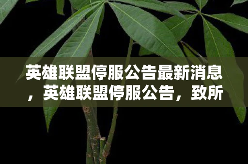 英雄联盟停服公告最新消息,英雄联盟停服公告,致所有召唤师的一封信 英雄联盟停服公告最新消息,英雄联盟停服公告,致所有召唤师的一封信