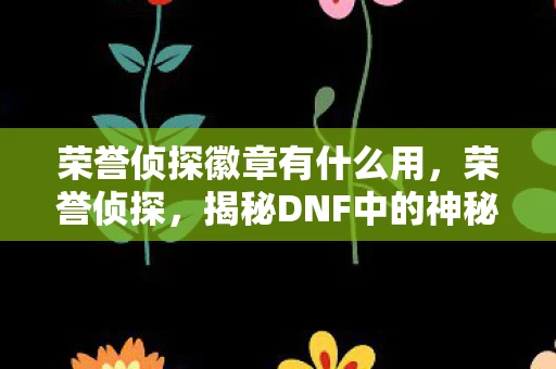 荣誉侦探徽章有什么用，荣誉侦探，揭秘DNF中的神秘职业